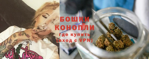 ПСИЛОЦИБИНОВЫЕ ГРИБЫ Киреевск