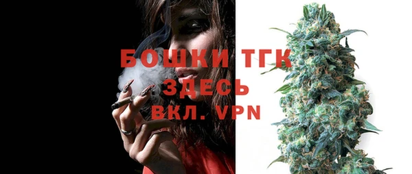 ПСИЛОЦИБИНОВЫЕ ГРИБЫ Киреевск