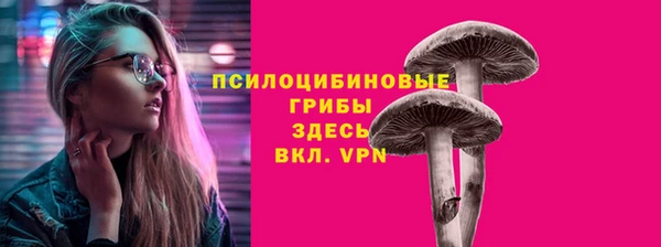 ПСИЛОЦИБИНОВЫЕ ГРИБЫ Киреевск