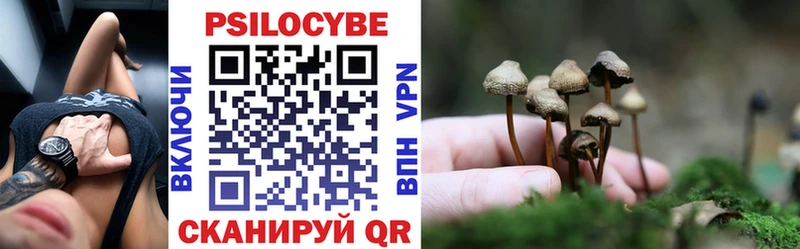 Галлюциногенные грибы Psilocybine cubensis  Купить где  Жиздра 